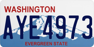 WA license plate AYE4973