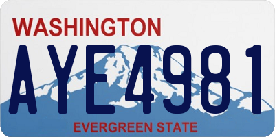 WA license plate AYE4981