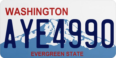 WA license plate AYE4990