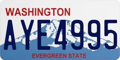 WA license plate AYE4995