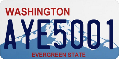 WA license plate AYE5001