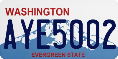WA license plate AYE5002