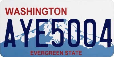 WA license plate AYE5004