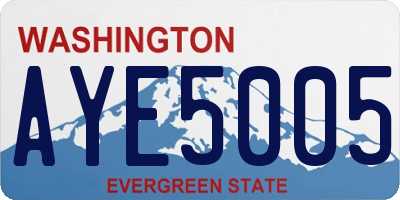 WA license plate AYE5005