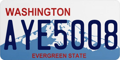 WA license plate AYE5008