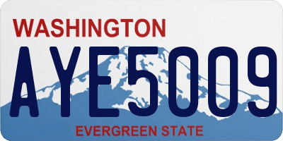 WA license plate AYE5009