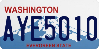 WA license plate AYE5010