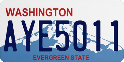 WA license plate AYE5011