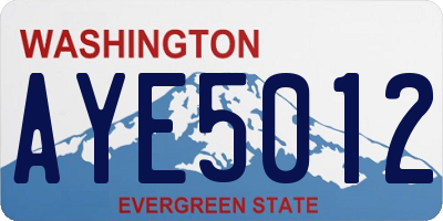 WA license plate AYE5012