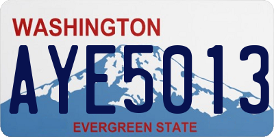 WA license plate AYE5013