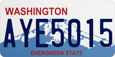 WA license plate AYE5015