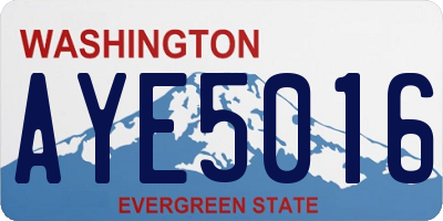 WA license plate AYE5016
