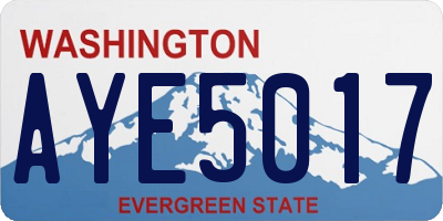 WA license plate AYE5017