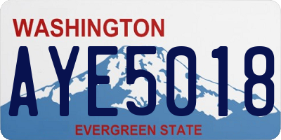 WA license plate AYE5018
