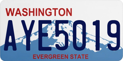 WA license plate AYE5019