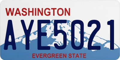 WA license plate AYE5021