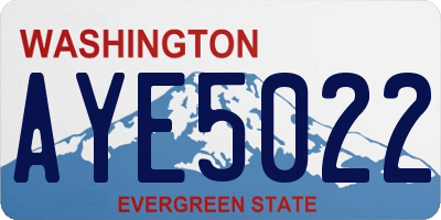WA license plate AYE5022