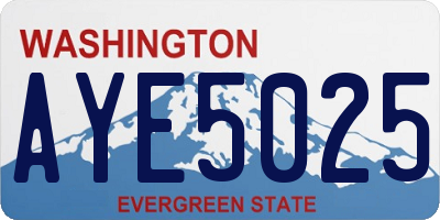 WA license plate AYE5025