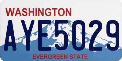 WA license plate AYE5029