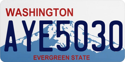 WA license plate AYE5030