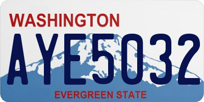 WA license plate AYE5032