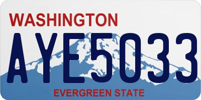 WA license plate AYE5033