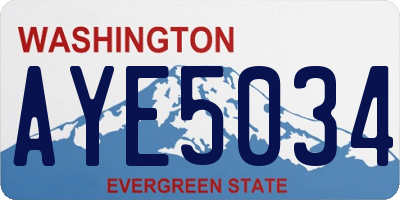 WA license plate AYE5034
