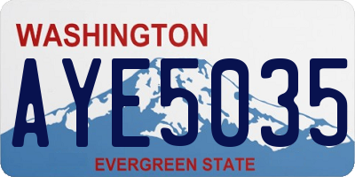 WA license plate AYE5035
