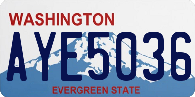 WA license plate AYE5036