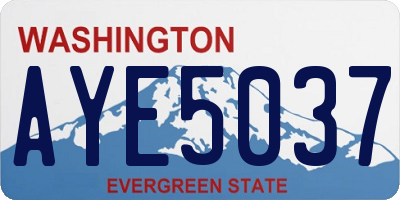 WA license plate AYE5037