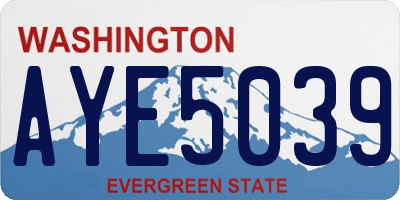 WA license plate AYE5039