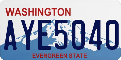WA license plate AYE5040