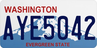 WA license plate AYE5042