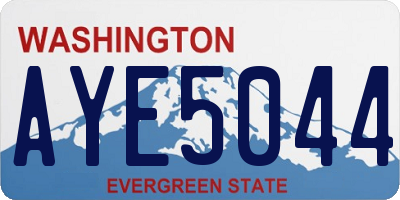 WA license plate AYE5044