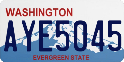 WA license plate AYE5045