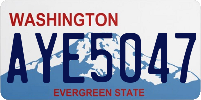 WA license plate AYE5047