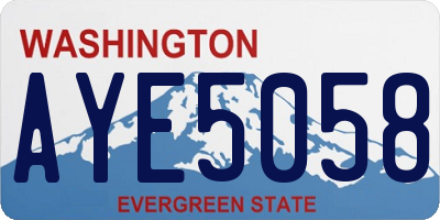 WA license plate AYE5058
