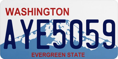 WA license plate AYE5059