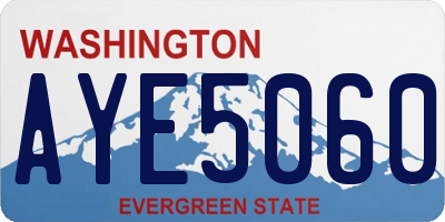 WA license plate AYE5060