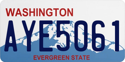 WA license plate AYE5061