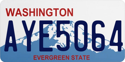 WA license plate AYE5064