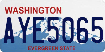 WA license plate AYE5065