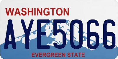 WA license plate AYE5066