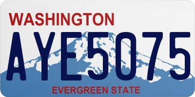 WA license plate AYE5075