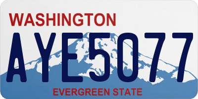 WA license plate AYE5077