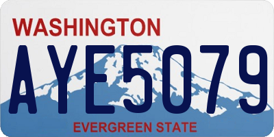 WA license plate AYE5079