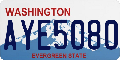 WA license plate AYE5080