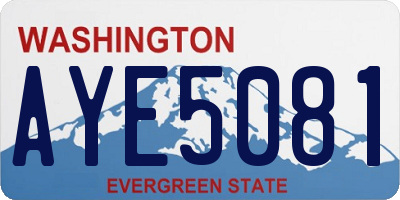WA license plate AYE5081