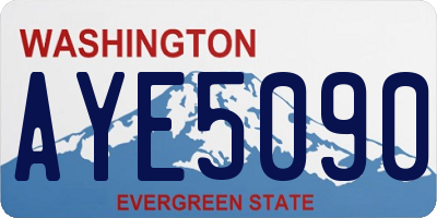 WA license plate AYE5090