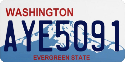 WA license plate AYE5091